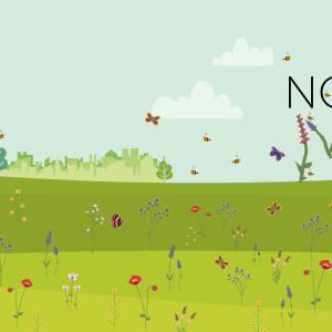 A graphic banner of a park with the words 'no mow may' made out of plants and flowers
