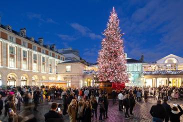 Christmas tree lit up in Covent Garden