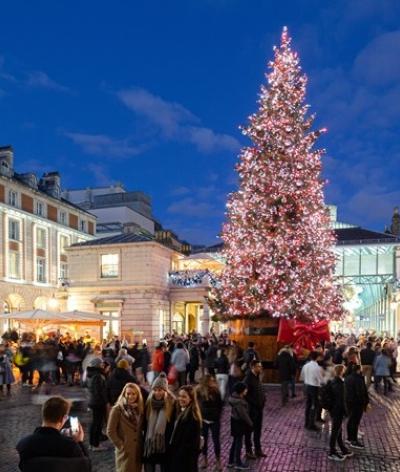 Christmas tree lit up in Covent Garden