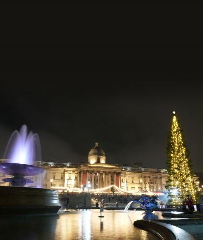 WCC Trafalgar Tree banner 