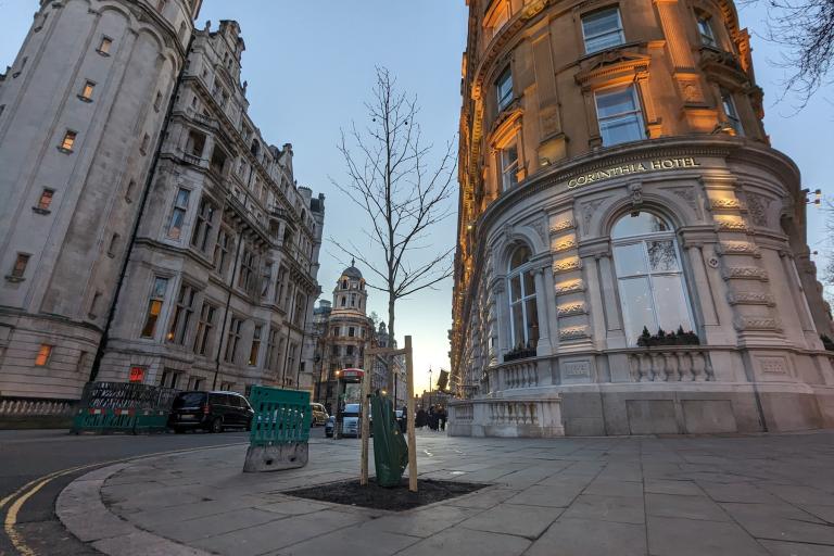 Holocaust Memorial Day tree planting