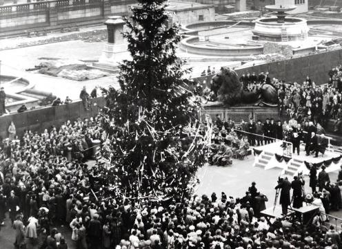 Trafalgar Square Christmas tree black and white photo