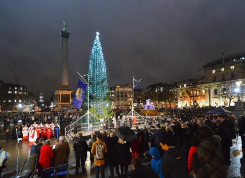 Trafalgar Tree lights switch on