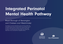 Integrated Perinatal Mental Health Pathway