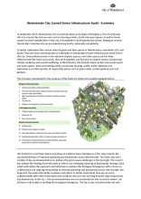 Green Infrastructure Audit Summary