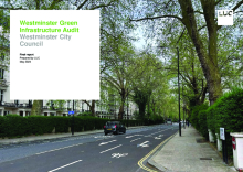 Westminster Green Infrastructure Audit 