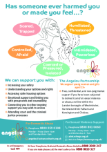 Angelou Partnership leaflet