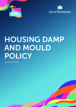 Housing Damp and Mould Policy