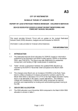 A3 2024/25 DSG Monitoring and Estimated School Balances