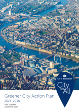 Greener City Action Plan - year 2 update