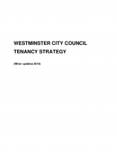 Tenancy Strategy