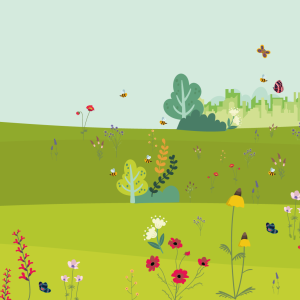 An illustrated image of a green field with biodiverse plants, insects and animals