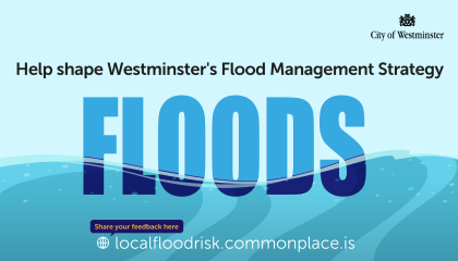 Blue banner that advertises the flooding consultation page